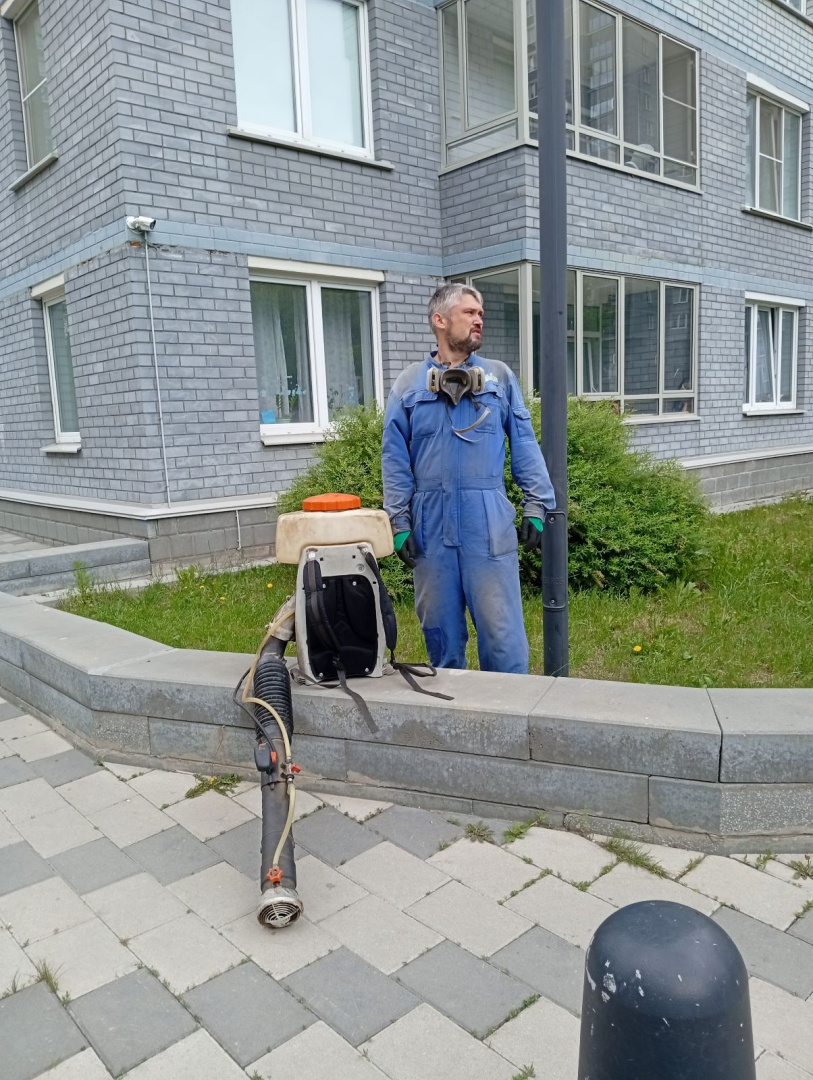 -1x-1xMQ_1749017954288 (1).jpg